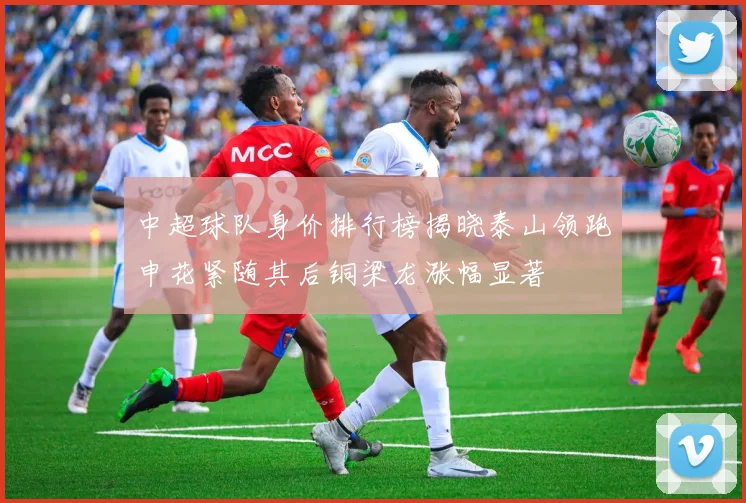 中超球队身价排行榜揭晓泰山领跑申花紧随其后铜梁龙涨幅显著