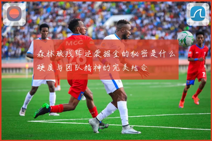 森林狼残阵逆袭掘金的秘密是什么硬度与团队精神的完美结合